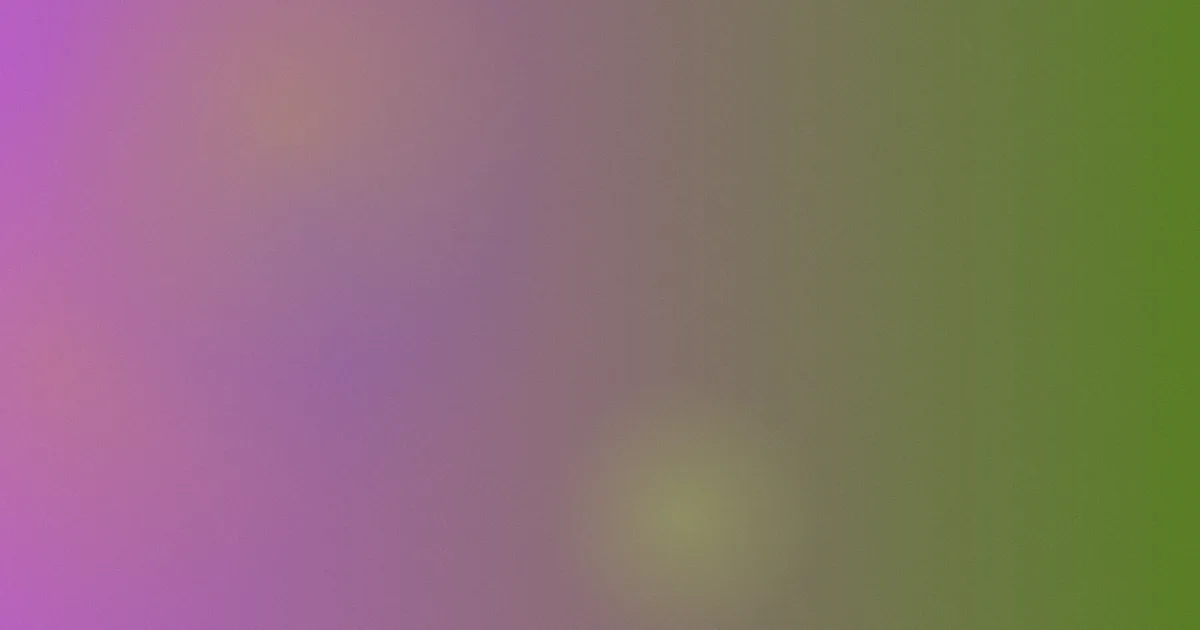 七妹导航推荐：新手这样用